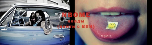 хмурый Бородино