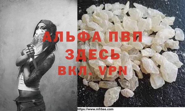 ГАЛЛЮЦИНОГЕННЫЕ ГРИБЫ Верея