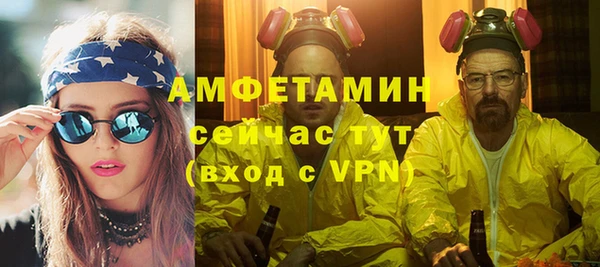 ГАЛЛЮЦИНОГЕННЫЕ ГРИБЫ Верея