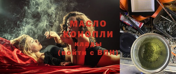 хмурый Бородино