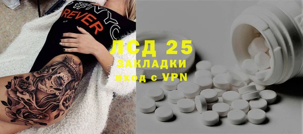ГАЛЛЮЦИНОГЕННЫЕ ГРИБЫ Бугульма