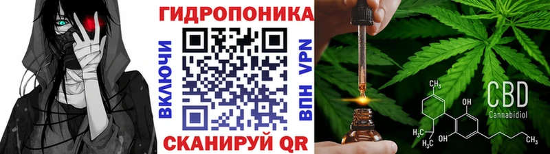 купить   Магнитогорск  Каннабис OG Kush 